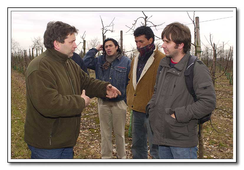 Bernard Grammen geeft een rondleiding aan de gasten in zijn appelboomgaard